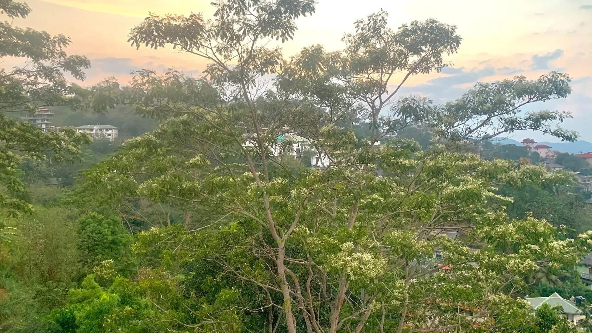 Sky Lounge Apartment Kandy Homestay